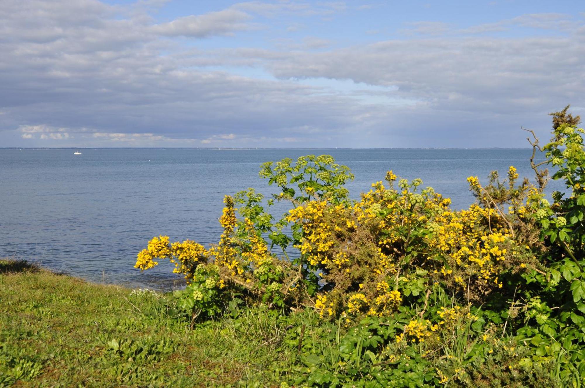 Panorama Vue Mer Quiberon Ruang foto
