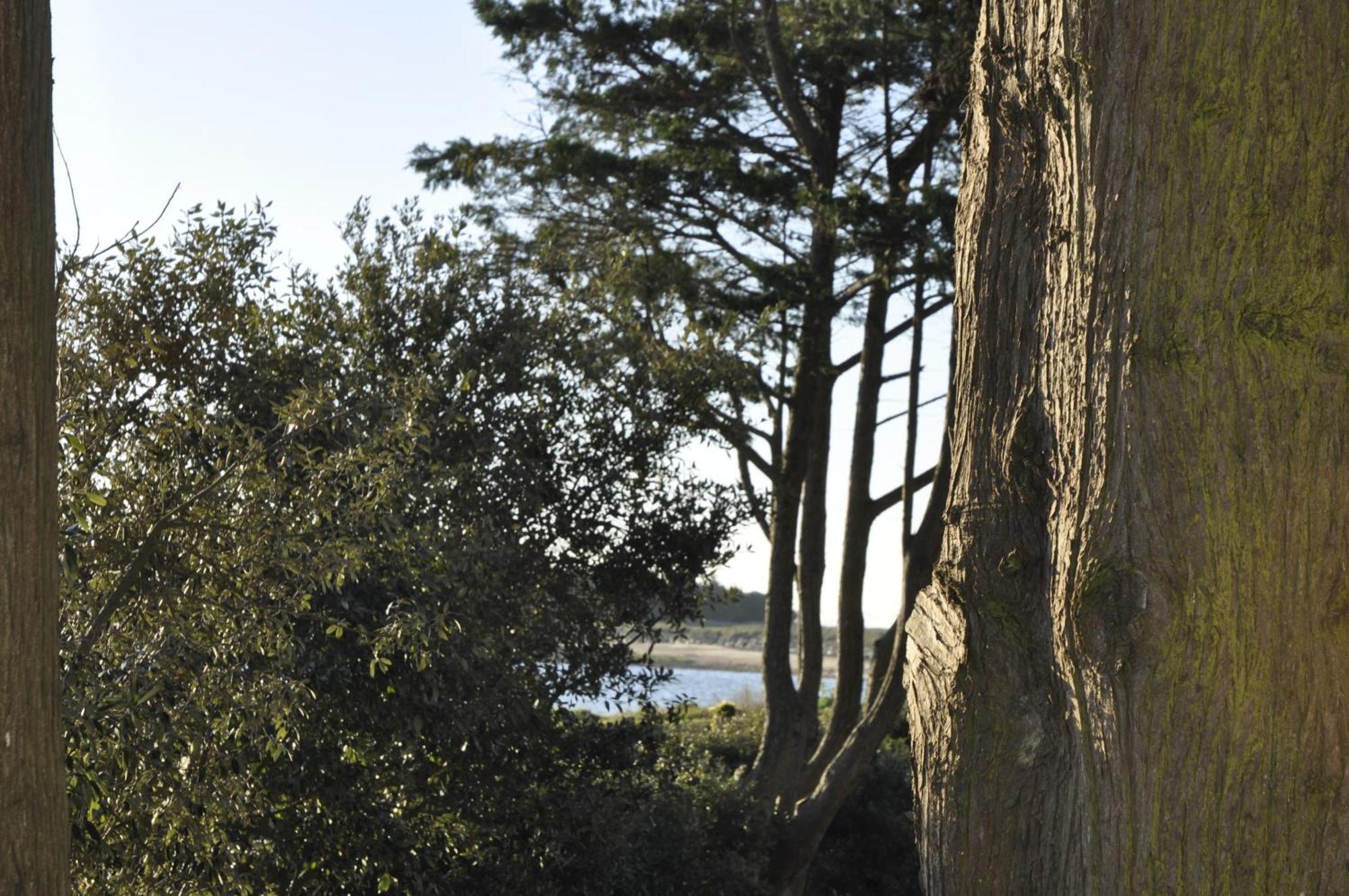 Panorama Vue Mer Quiberon Bagian luar foto